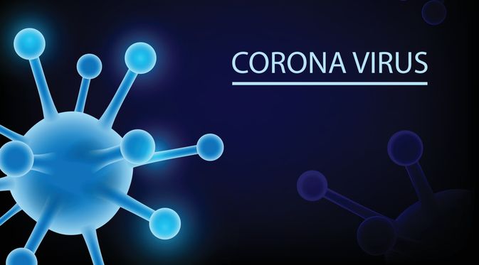 TRAINING ONLINE CORONA AND PARTIAL DISCHARGE