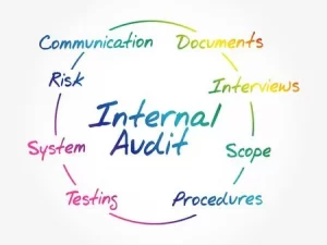 TRAINING ONLINE CORPARATE GOVERNANCE STRATEGIES FOR INTERNAL AUDIT