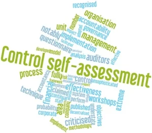 TRAINING ONLINE CONTROL SELF-ASSESSMENT (CSA) BASIC – ADVANCE DENGAN MENGGUNAKAN SOFWARE
