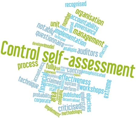 TRAINING ONLINE CONTROL SELF-ASSESSMENT (CSA) BASIC – ADVANCE DENGAN MENGGUNAKAN SOFWARE