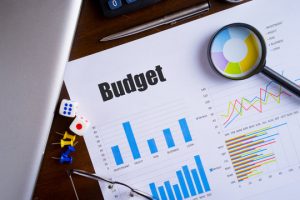 TRAINING ONLINE BUDGETING, PLANNING AND COST CONTROL