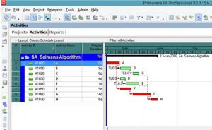 TRAINING ONLINE PROJECT MANAGEMENT WITH PRIMAVERA P6