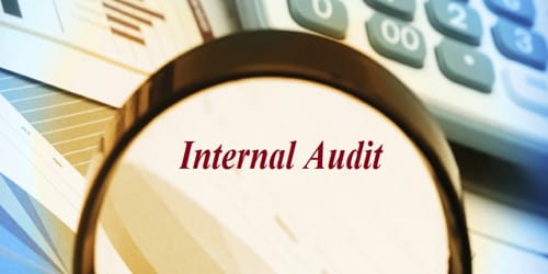 TRAINING ONLINE PENGUATAN FUNGSI AUDITOR INTERNAL BERBASIS PEDOMAN AUDIT