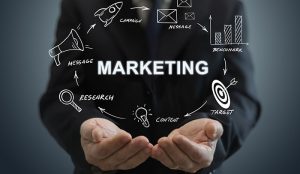 TRAINING ONLINE STRATEGI MARKETING