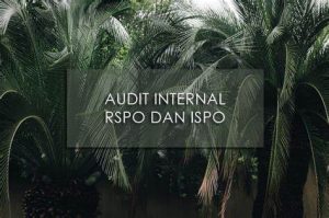 TRAINING ONLINE AUDIT INTERNAL RSPO DAN ISPO