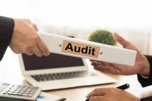 TRAINING ONLINE AUDIT OPERASIONAL KINERJA