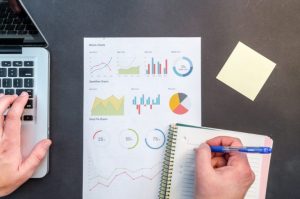 TRAINING ONLINE AUDITING SDM