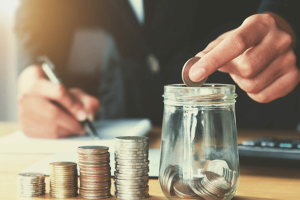 TRAINING ONLINE BUDGETING & BUSINESS PLAN