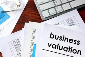 TRAINING ONLINE BUSINESS ANALYSIS AND VALUATION