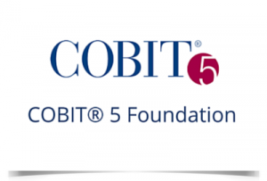 TRAINING ONLINE COBIT 5R FOUNDATION