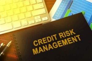 TRAINING ONLINE CREDIT RISK MANAGEMENT