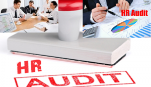 TRAINING ONLINE DESIGN & IMPLEMENT HR AUDIT