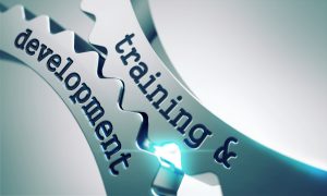 TRAINING ONLINE DEVELOPMENT