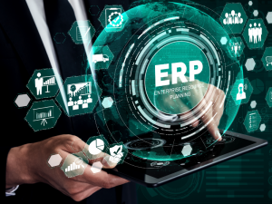 TRAINING ONLINE ENTERPRISE RESOURCES PLANNING
