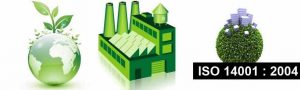 TRAINING ONLINE ENVIRONMENTAL AUDIT BASED ON ISO 14001: 2004