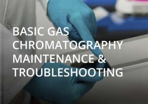 TRAINING ONLINE GAS CHROMATOGRAPHY MAINTENANCE AND TROUBLESHOOTING