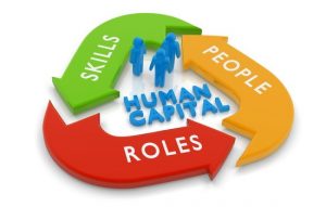 TRAINING ONLINE HUMAN CAPITAL AND DESIGN TRAINING PROGRAM