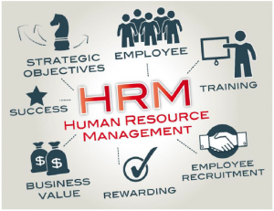 TRAINING ONLINE HUMAN RESOURCES FOR BEGINNERS