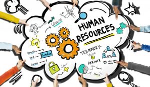 TRAINING ONLINE HUMAN RESOURCES FOR NON HUMAN RESOURCES