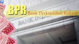 TRAINING ONLINE KREDIT BPR LINKAGE PROGRAM APEX