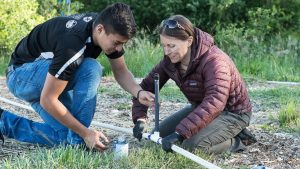 TRAINING ONLINE LANDSCAPE MAINTENANCE