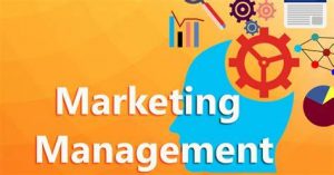 TRAINING ONLINE MARKETING MANAGEMENT