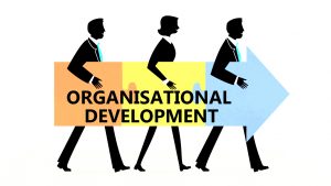 TRAINING ONLINE ORGANIZATION DEVELOPMENT