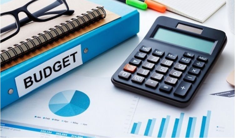 TRAINING ONLINE BUDGET: PLANNING, CONTROLLING & ANALYSING