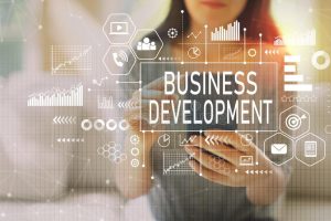 TRAINING ONLINE STRATEGI PENGEMBANGAN BISNIS