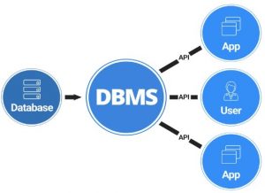 TRAINING ONLINE PELATIHAN MANAJEMEN DATABASE & FILE MANAGEMENT