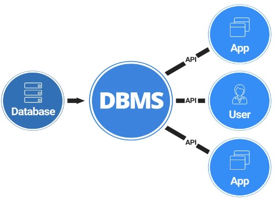 TRAINING ONLINE PELATIHAN MANAJEMEN DATABASE & FILE MANAGEMENT