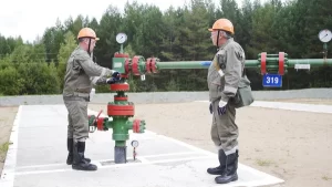 TRAINING ONLINE WELL INJECTION - PRODUCTION AND RESERVOIR SYNERGETIC SYSTEM FOR STEAMFLODO PROCESSES