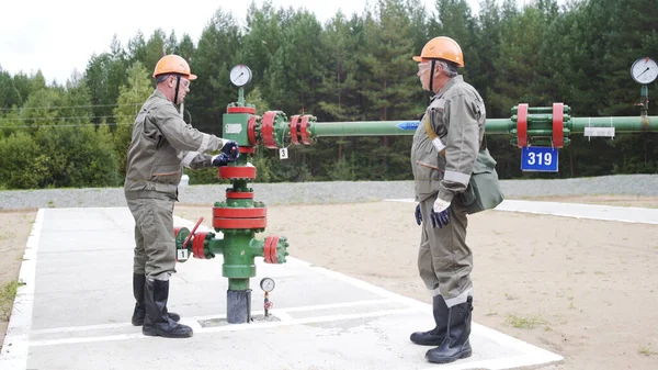TRAINING ONLINE WELL INJECTION - PRODUCTION AND RESERVOIR SYNERGETIC SYSTEM FOR STEAMFLODO PROCESSES
