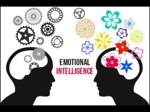 TRAINING ONLINE EMOTIONAL MANAGEMENT FOR PROFESSIONALS/LEADERS