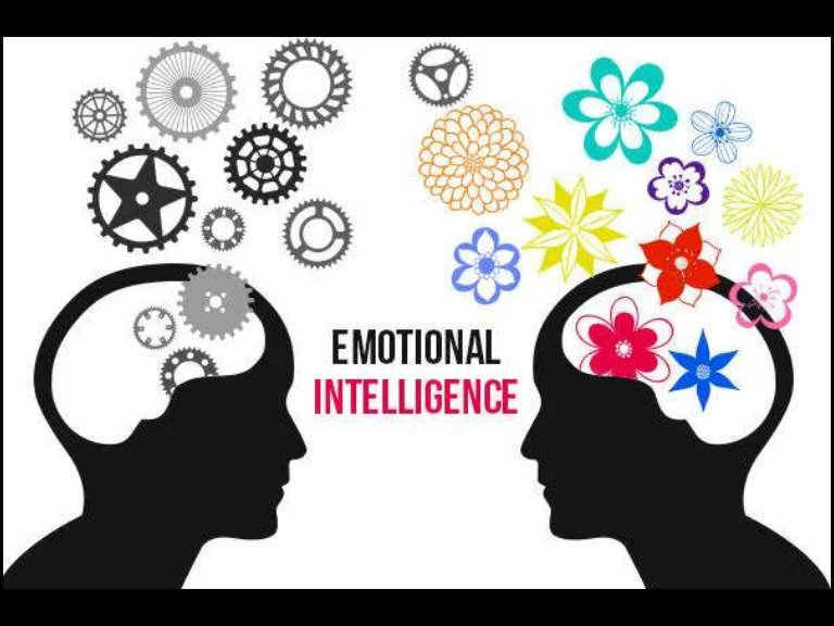 TRAINING ONLINE EMOTIONAL MANAGEMENT FOR PROFESSIONALS/LEADERS
