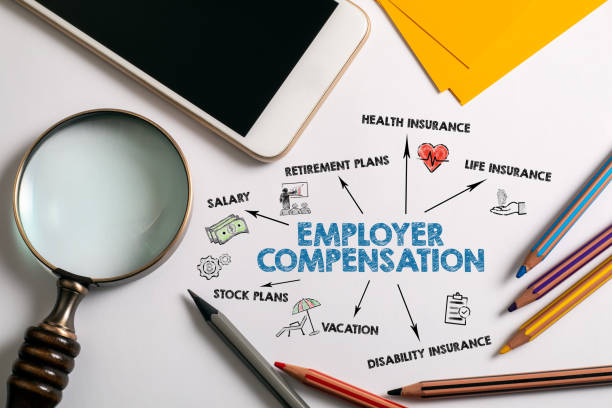 TRAINING ONLINE COMPENSATION - BENEFITS AND SALARY STRUCTURE DESIGNED