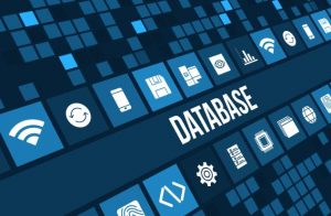 TRAINING ONLINE MANAJEMEN PENGELOLAAN DATABASE DAN PENYAJIAN INFORMASI