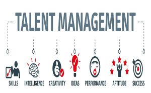 TRAINING ONLINE TALENT MANAGEMENT