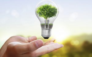 TRAINING ONLINE MANAGEMENT AND AUDIT ENERGY