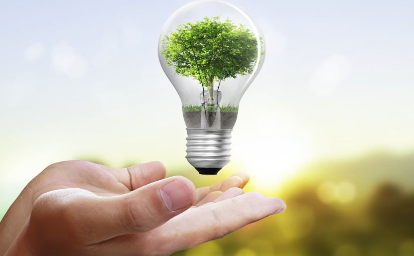 TRAINING ONLINE MANAGEMENT AND AUDIT ENERGY