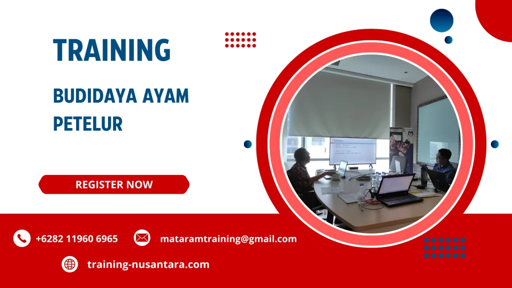 TRAINING BUDIDAYA AYAM PETELUR